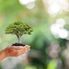  Environmental Protection – Our Earth, Our Future