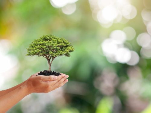  Environmental Protection – Our Earth, Our Future