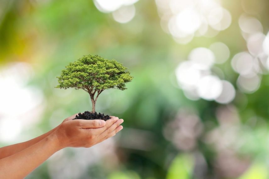  Environmental Protection – Our Earth, Our Future